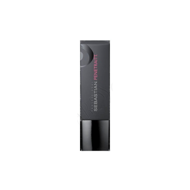Sebastian Foundation Penetraitt Shampoo 250ml.