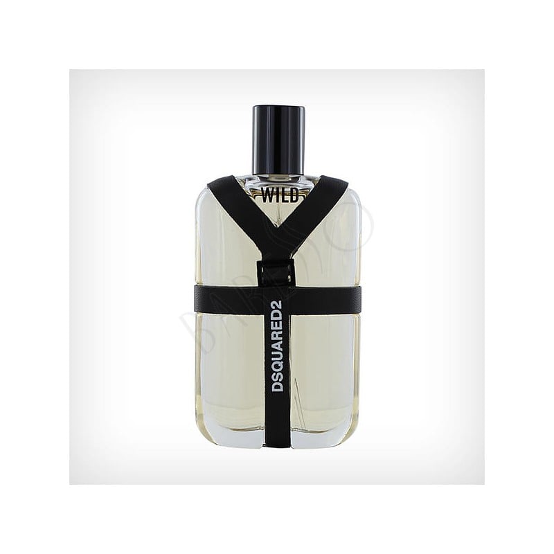 Dsquared2 Wild EdT 100ml