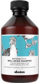 Davines Natural Tech Well-Being Schampo 250 ml (2)
