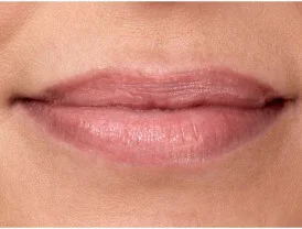 IsaDora Twist-Up Gloss Stick 29 Clear Nude   (2)