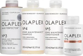 Olaplex Ultimate Big Pack
