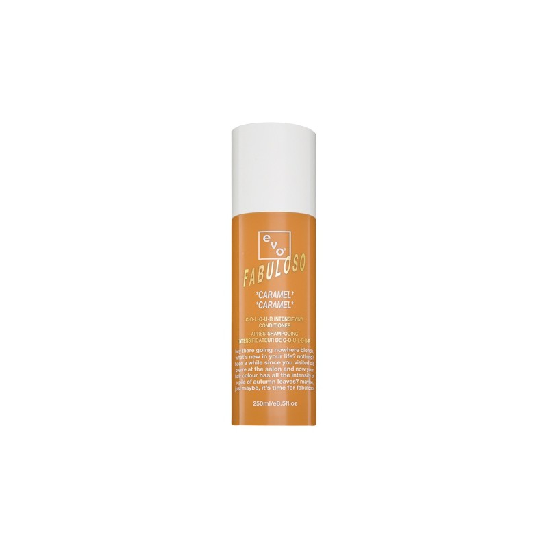 Evo Fabuloso Caramel Tube Colour Treatment 220ml Evo Fabuloso Caramel Tube Colour Treatment 220ml