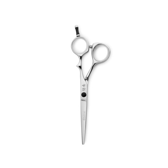 Shorai classic 5.5