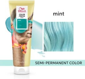 Wella Professionals Color Fresh Mask Mint 150ml