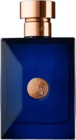 Versace Pour Homme Dylan Blue EDT 100ml