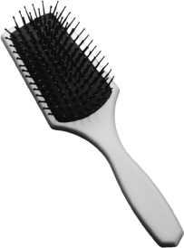 Paddle Brush Silver Mini