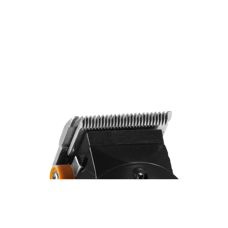 Ga.ma Gbs Wedge Stainless Steel Blade For Abs Smooth Ga.ma Gbs Wedge Stainless Steel Blade For Abs Smooth