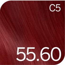 Revlon Young Color Excel 55,60 Intense Dark Red