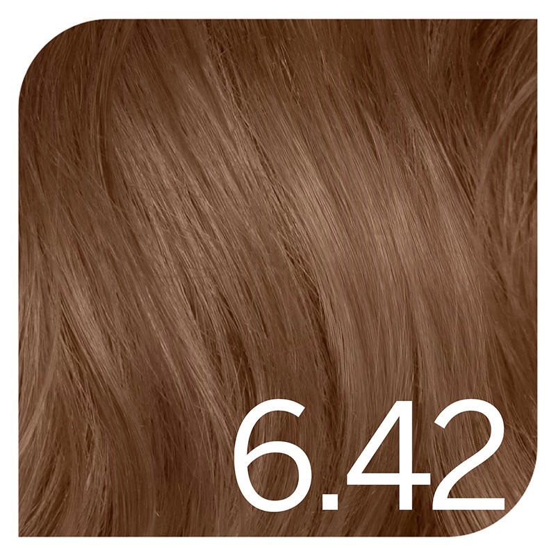 Revlon Young Color Excel 6,42 Deep chestnut