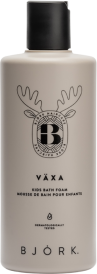 Björk Växa Kids Bath Foam 300ml