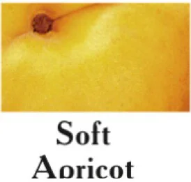 Cutrin AURORA Direct Dyes Soft Apricot 100ml