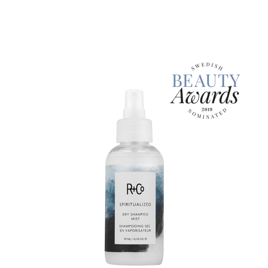 R+Co Spiritualized Dry Shampoo Mist 119ml
