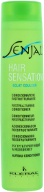 Kleral Senjal Hair Solution Restructuring Conditioner 300ml