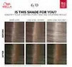 Wella Professionals Color Touch OTC Dark Blonde 6/0 (2)