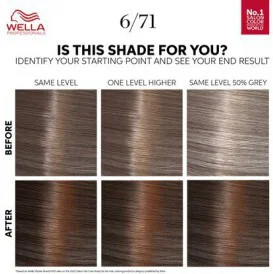 Wella Professionals Color Touch OTC Deep Brown Medium Maple Brown 6/71 (2)