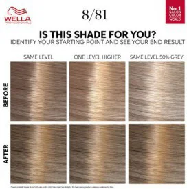Wella Professionals Color Touch OTC Pearl Blonde 8/81 (2)