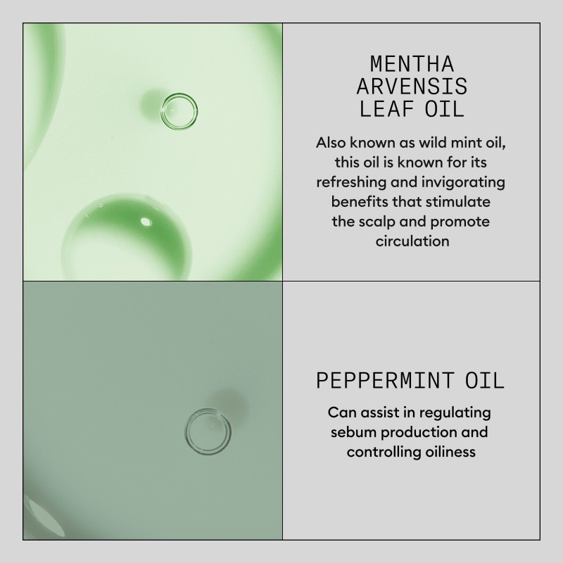 Nioxin Hair Booster Serum 100 ml