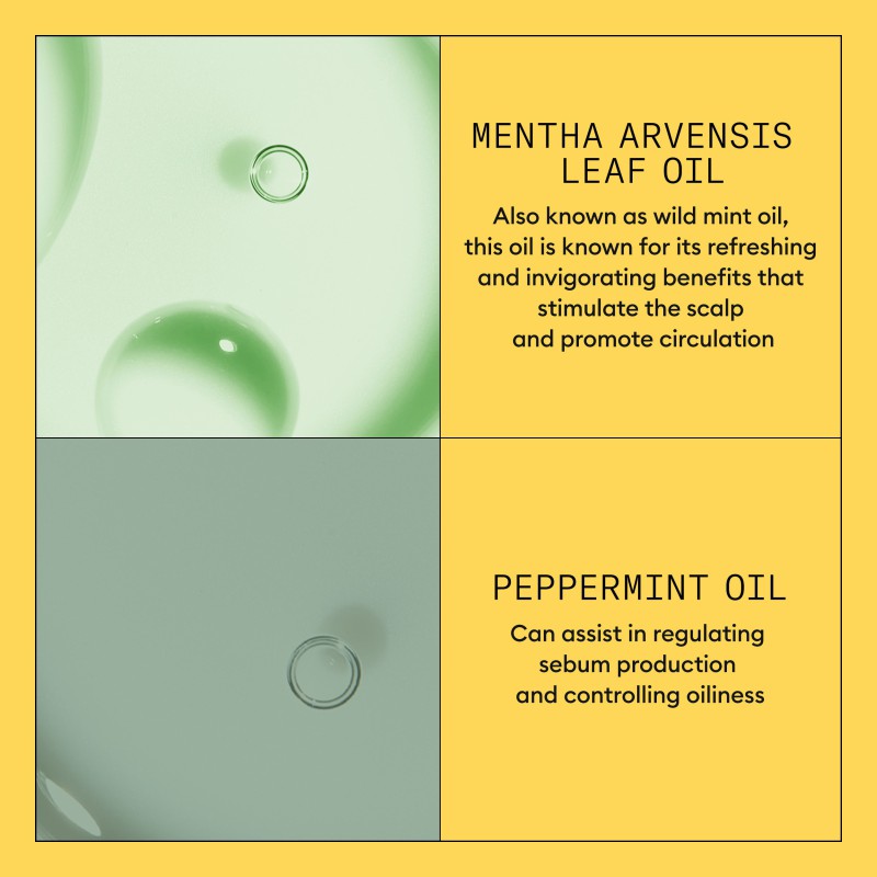 Nioxin System 1 Conditioner for Thinning Hair 1000 ml