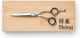Shorai Katana 6.0 Brushed Silver (2)