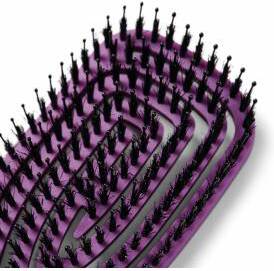 Peniculus Flexibrush Combo Bristles - Violet (2)