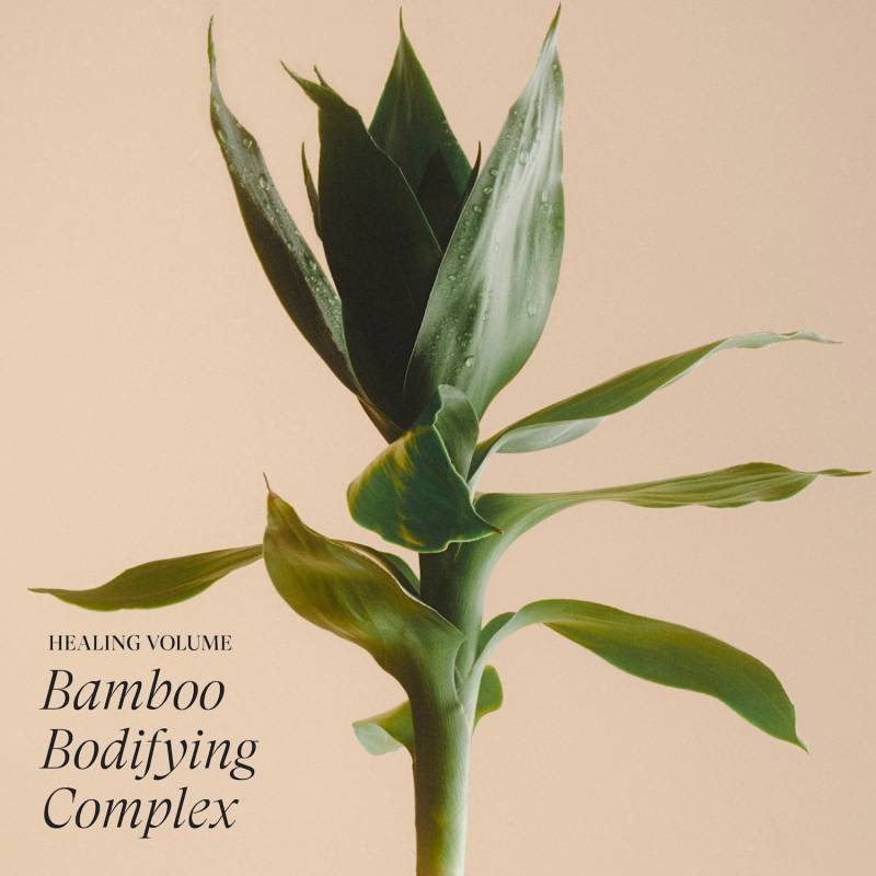 Lanza Healing Volume Final Effects 350 ml