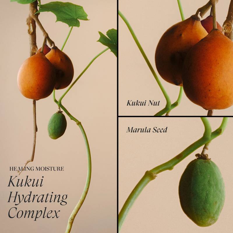 Lanza Healing Moisture Moisturizing Mist Leave-In Conditione 200 ml