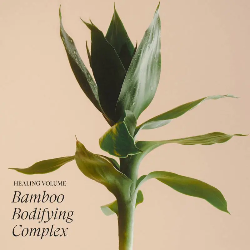 Lanza Healing Volume Thickening Treatment Spray 100 ml