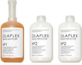Olaplex Salon Intro Kit