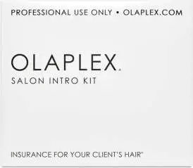 Olaplex Salon Intro Kit (2)