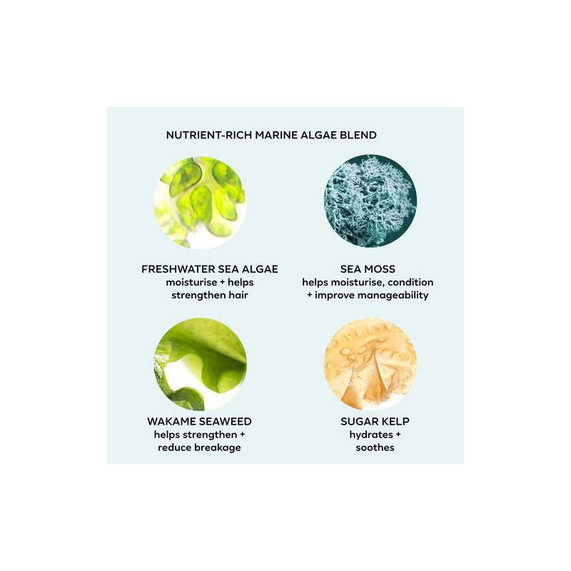 Color Wow Money Laundering Hydrating Shampoo 250ml