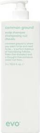 Evo Common Ground Scalp Shampoo 1000ml - Hårbottenschampo