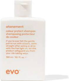 Evo Atonement Colour Protect Shampoo 300 ml - Schampo