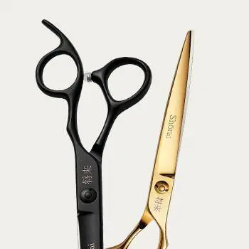 Saxar