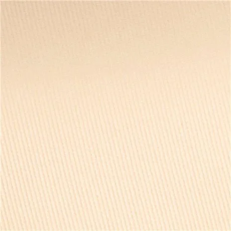 Isadora Velvet Touch Sheer Cover Compact Powder Fair Porcelain 40